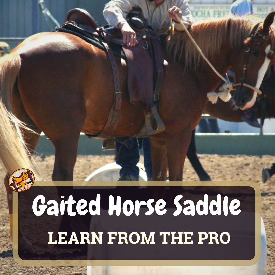 Gaited Horse Saddle Featured