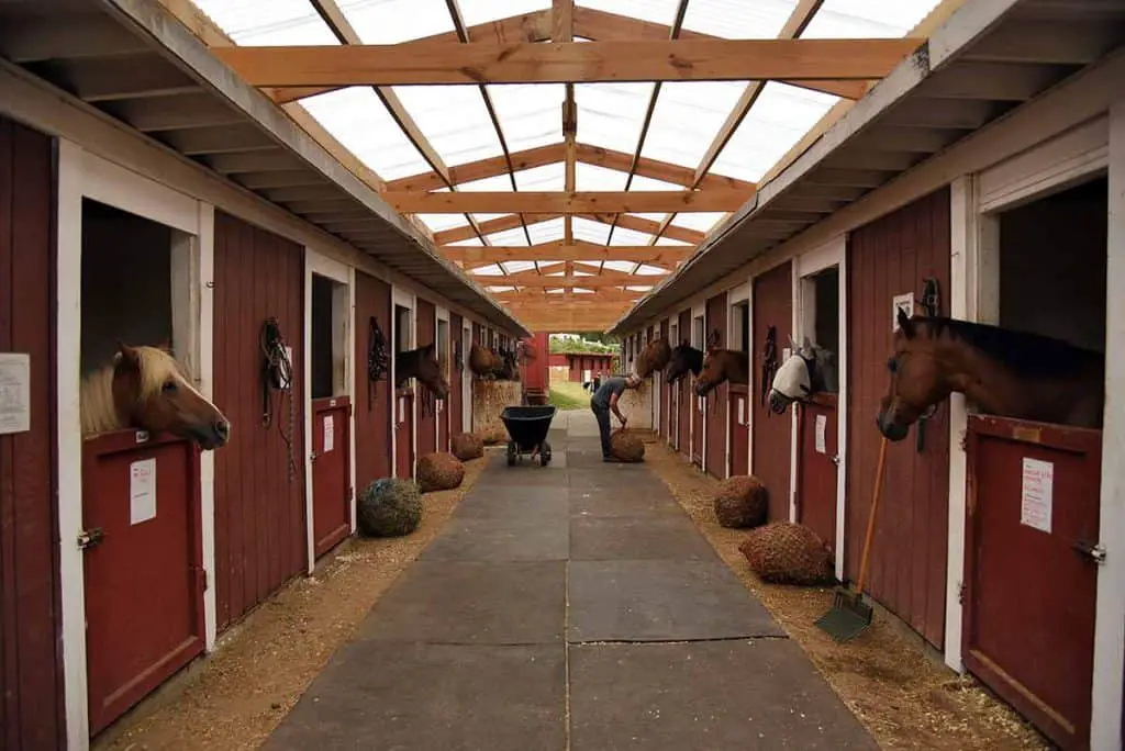 Horse Stable