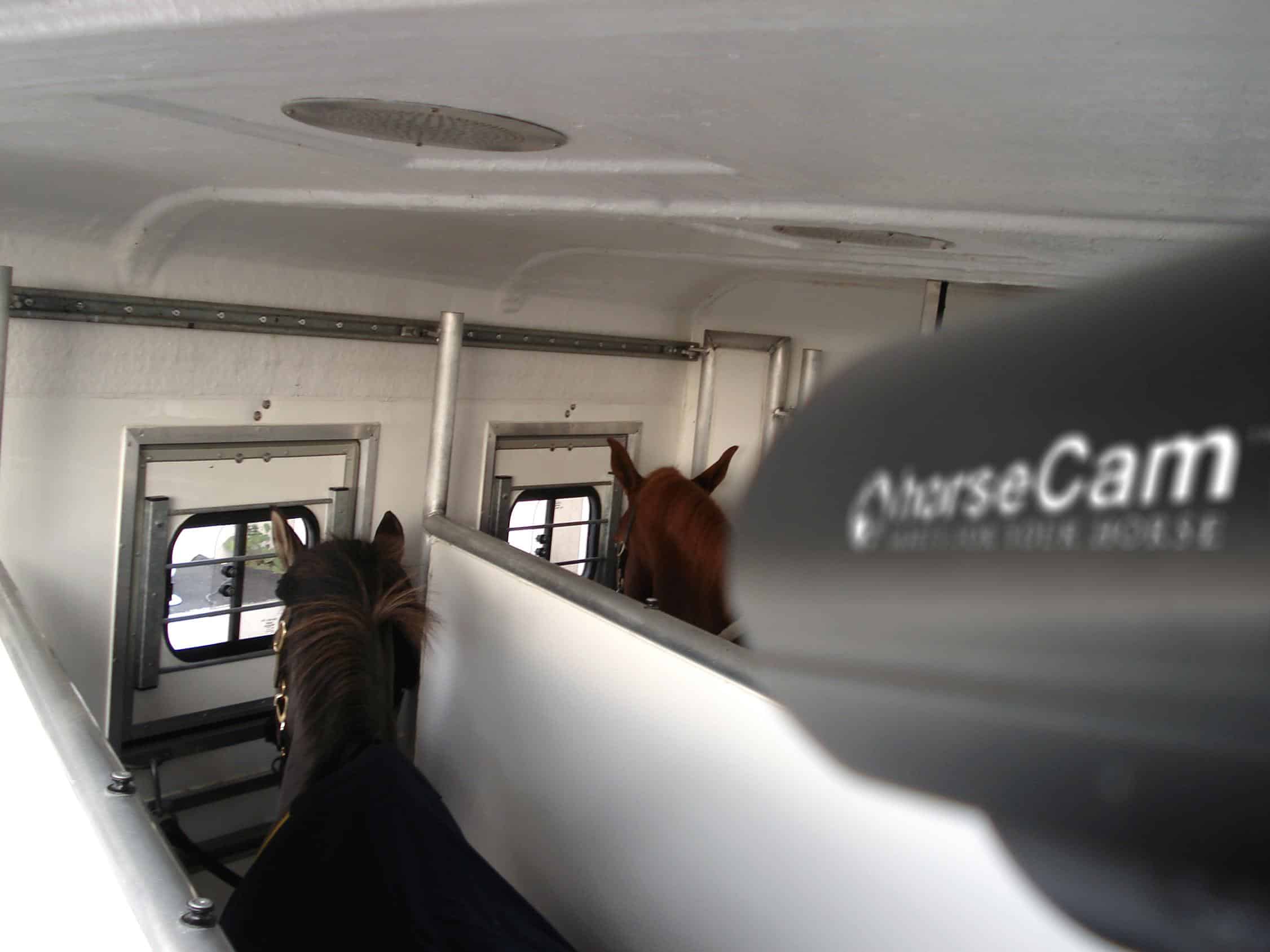 Best Wireless Camera for Inside Horse Trailer 