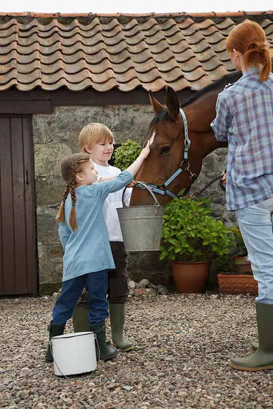 Kids Petting A Horse