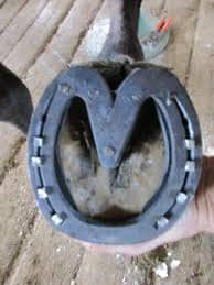 Heartbar Horseshoe