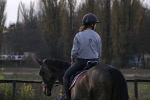 English Horse Riding