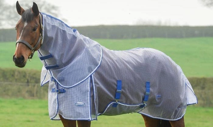 Best Fly Sheets For Horses