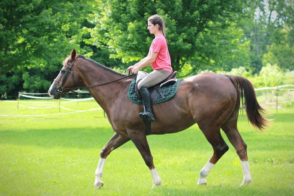 Girl Riding Horse Girl Practice Riding On Her Horse