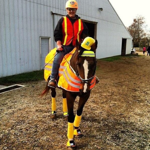 Construction Worker Horse Costume