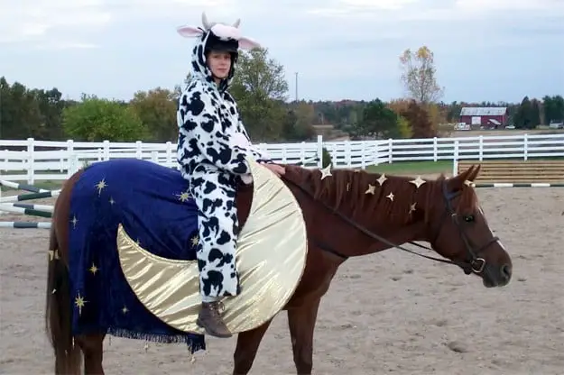 Cow Jumping over Moon Horse rider awesomelycute