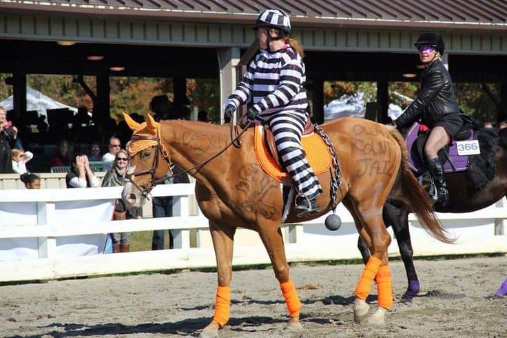 Jailbird Horse Rider Pinterest acollinslegal