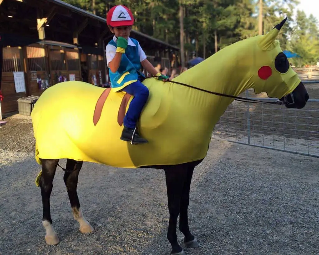 Picachu Horse and rider Maneentail