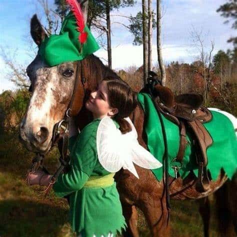 Robin Hood Horse and Rider Deavita