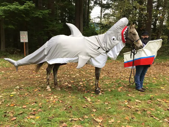 Shark Horse Horsenation