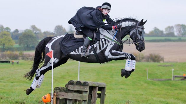 Skeleton Horse Jumping Horseandhound