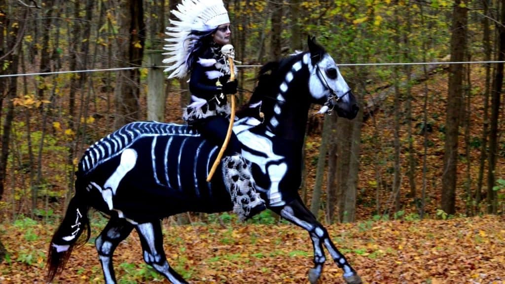 Skeleton Horse and Rider Youtube
