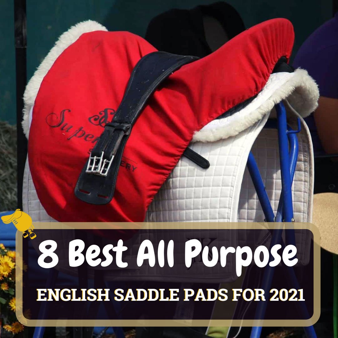 8 Best All Purpose Saddle Pads