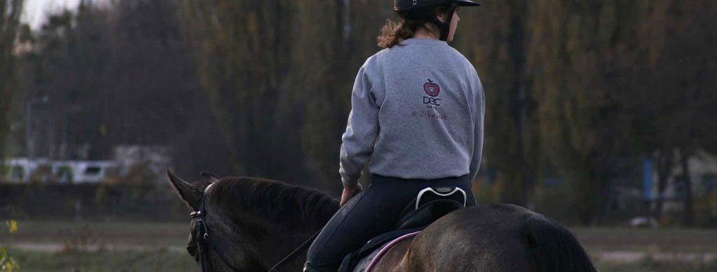 Girl Riding Horse English Style