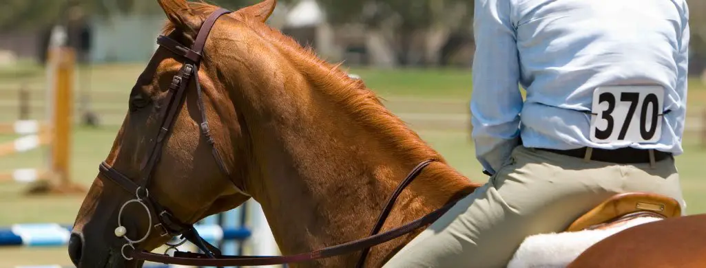 Horse Show Preperation