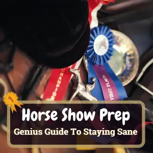 Horse Show Prep