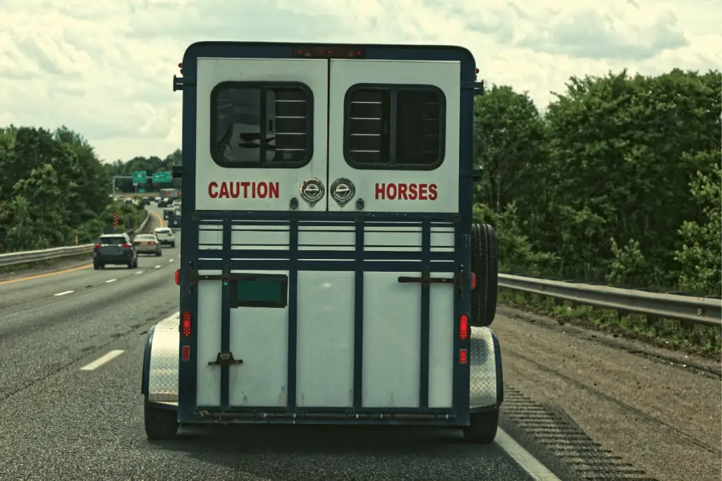 Horse Trailer On Highway