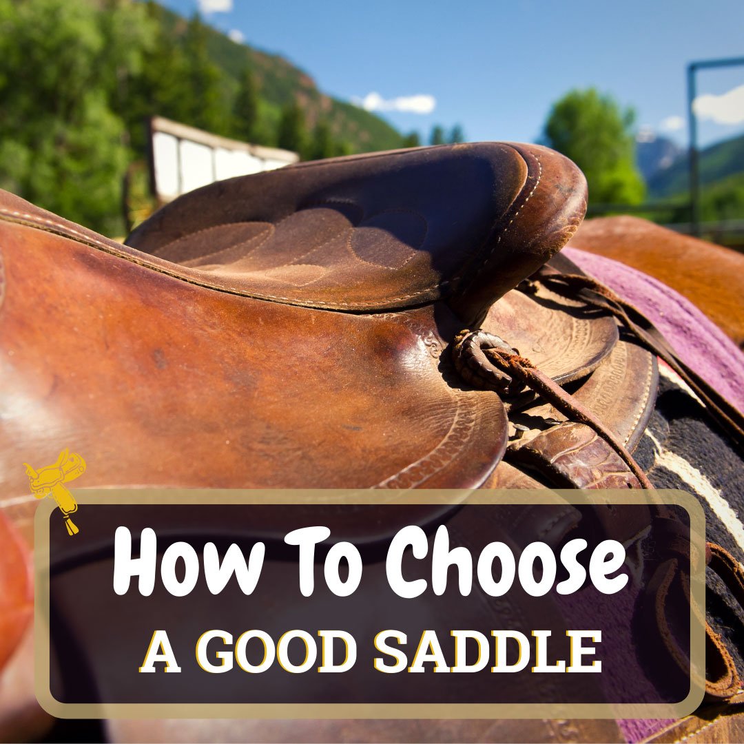 How To Choose A Good Saddle Featured