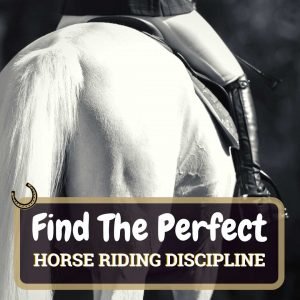 Perfect Horse Riding Discipline Featured