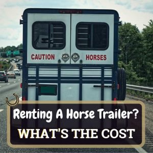 Rent A Horse Trailer Featured