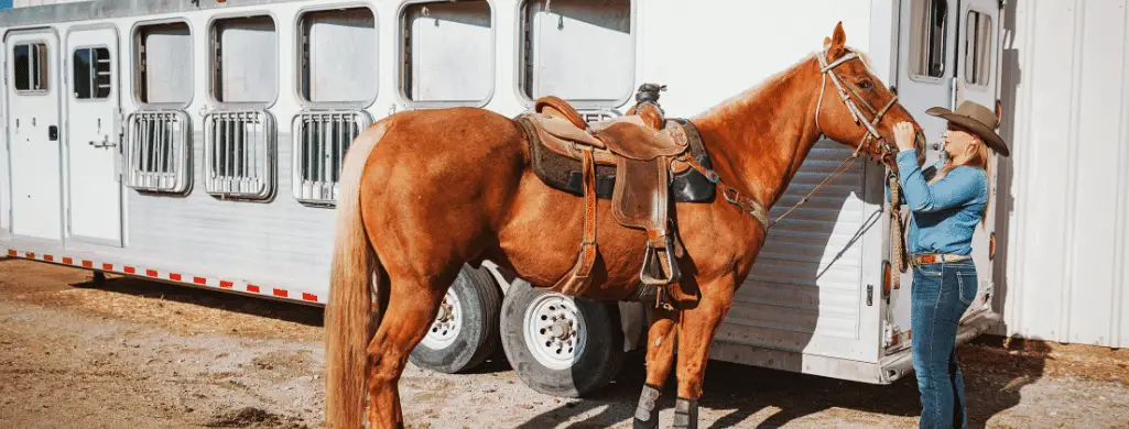 Renting A Horse Trailer