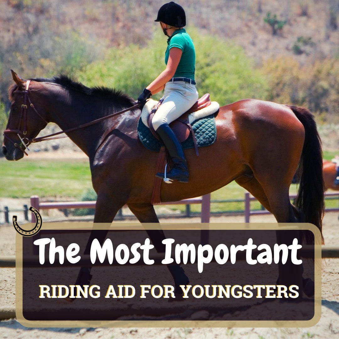 Riding Aid Featured
