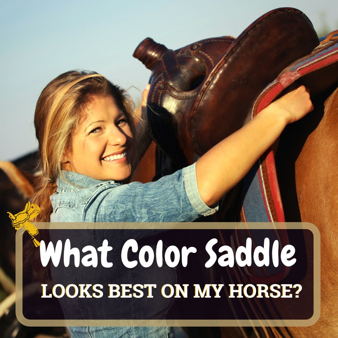 Woman Taking Horse Saddle Off Horse
