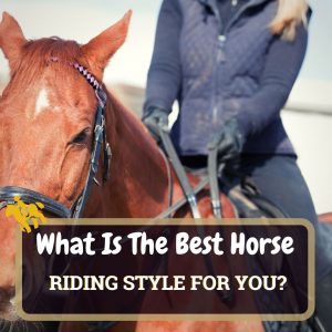 Best Horse Riding Style