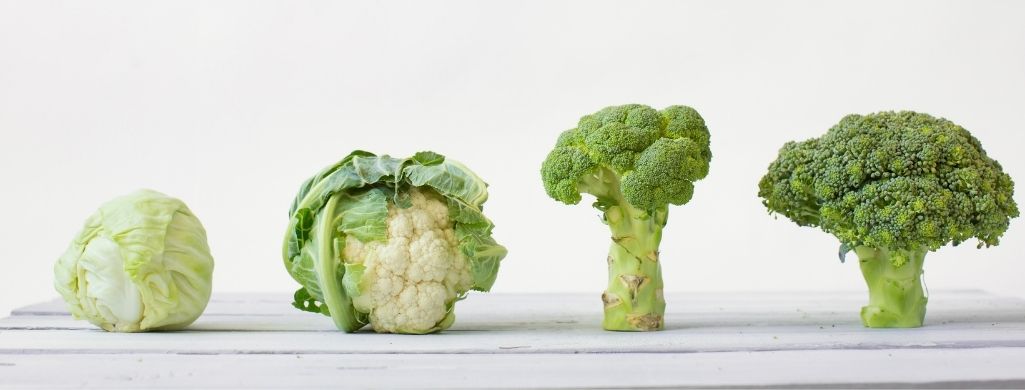 Cabbage Broccoli Cauliflower