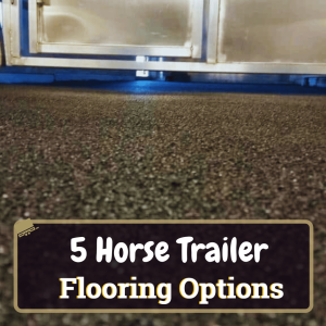 Five Horse Trailer Flooring Options