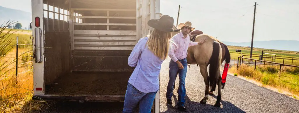 Easy and efficient ways to clean your horse trailer