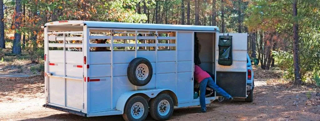 Essential steps for a thorough horse trailer cleaning routine