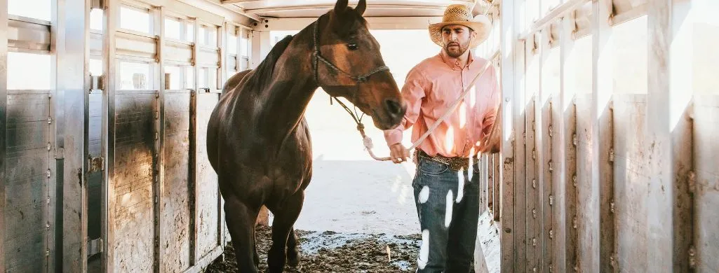 Proper cleaning techniques for your horse trailer