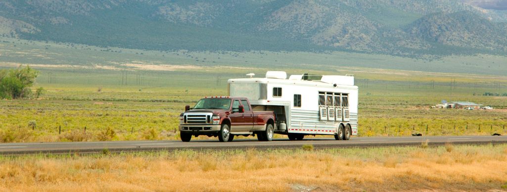 Towing Horse Trailer