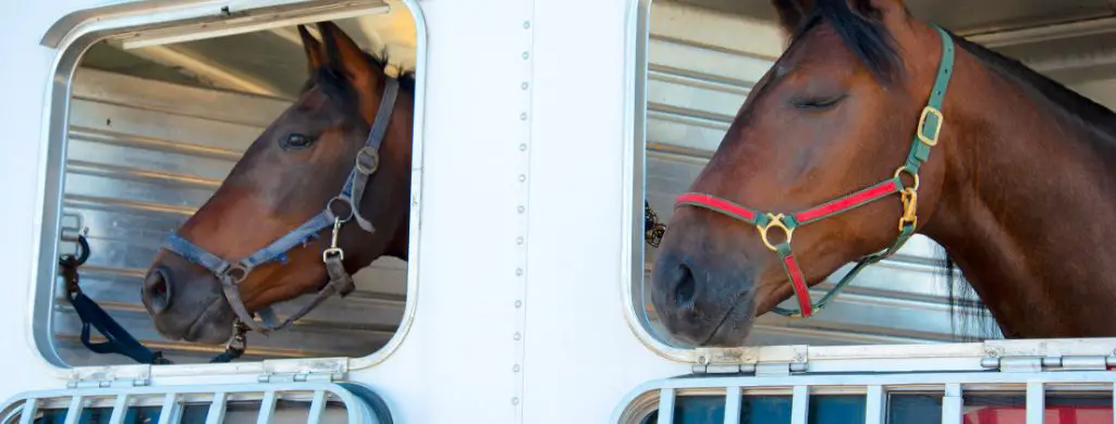 Trailering Horses