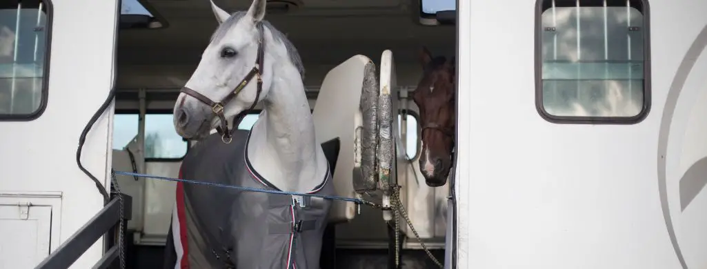 White Horse Trailer