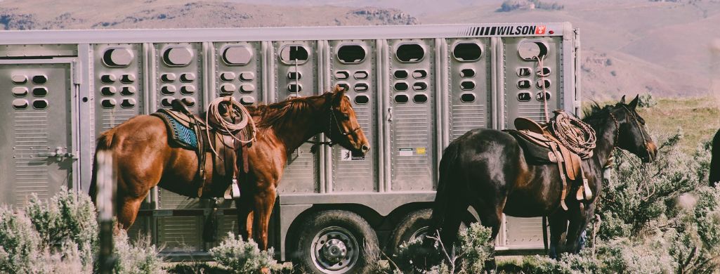 Horse Trailer Types What to Know Before You Tow