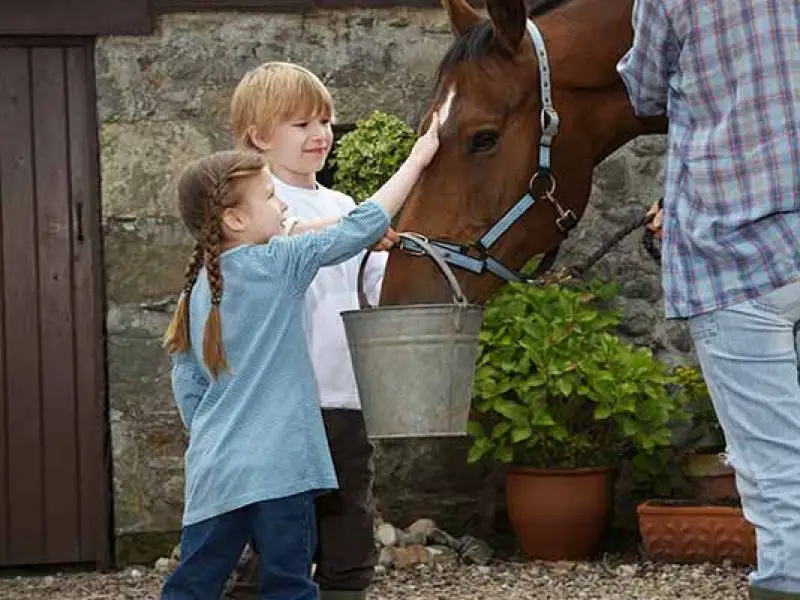 Kids Petting A Horse