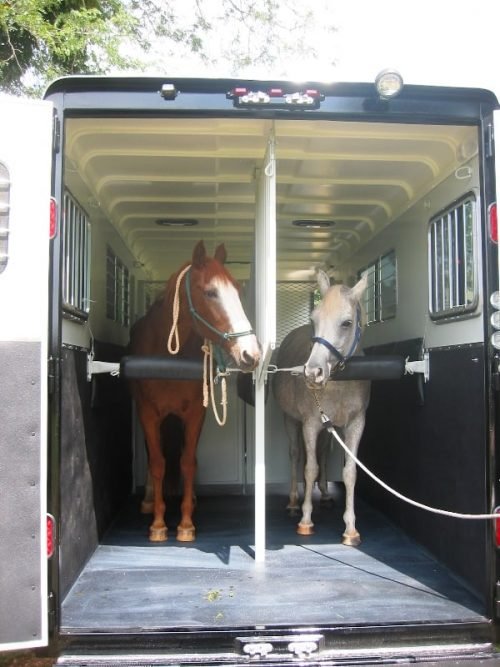 Reverse Load Horse Trailer - Common Horse Trailer Types